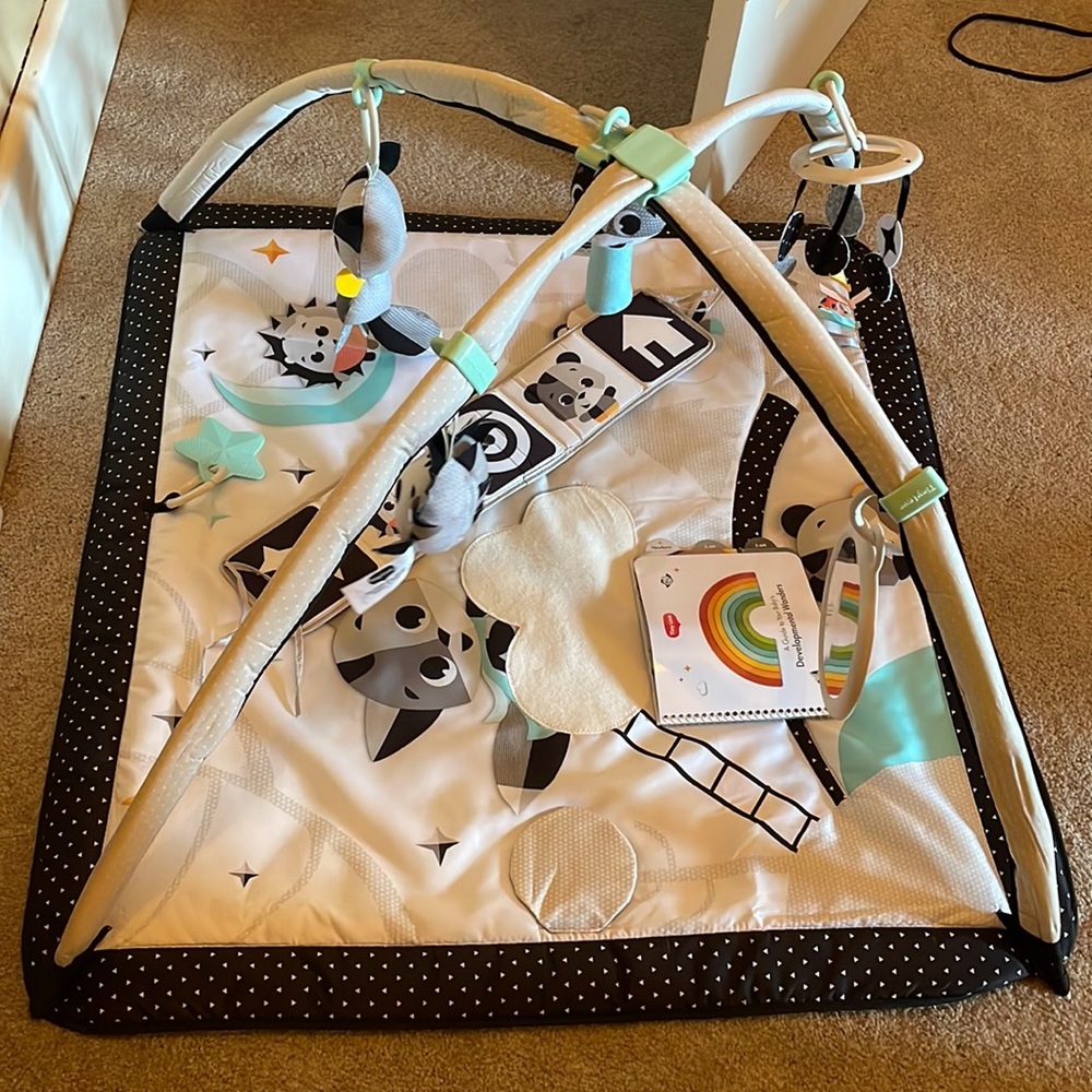 Baby activity gym